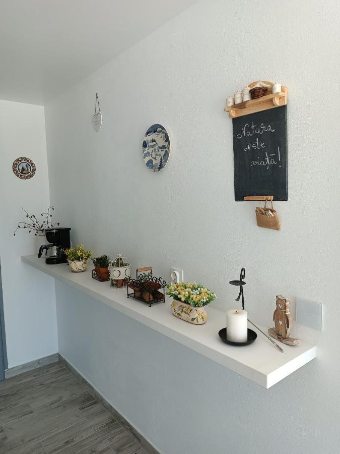 Cabana De Pe Stanca Colibiţa Εξωτερικό φωτογραφία